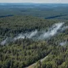 Incendii de pădure în Taunus: Două focare, poliția suspectează incendiere intenționată