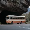 Accident rutier în Germania: Autobuz avariat după ce a lovit un perete de stâncă pentru a evita un combină