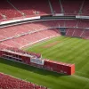 Viitorul lui Tim Lemperle la Köln: Planul secret al antrenorului Funkel după scandal