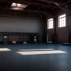 Noua casă pentru Universum: Boxeri din Hamburg se mută într-un fost abator pentru antrenamente în stil "Rocky"
