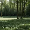 Proprietar de pădure din Hagen-Eilpe, amenințat cu un fileu de un necunoscut
