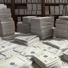 Veniturile Fiscale ale Germaniei scad: Bugetul național va pierde miliarde de euro