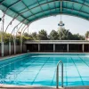 Destin sumbru pentru orci în Franța: rămași singuri după închiderea parcului