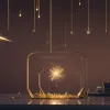 Fizicienii de la CERN au reușit să transforme plumbul în aur