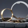 Bugetul Germaniei: Gaura fiscală de 81 de miliarde de euro necesită economii urgente