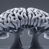 Mutația Genetică Explică de Ce Unii Au Nevoie Doar de 4 Ore de Somn, În Timp Ce Alții se Luptă După 8 Ore