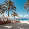 Experiment inedit: Un influencer de 18 ani a trăit o lună fără adăpost în Mallorca (Ballermann)