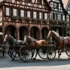 Accident la Münster: O calească a lovit o ciclistă, femeia este grav rănită