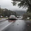 Accident grav în Germania: Șoferiță de 76 de ani a intrat cu mașina într-un copac pe drumul L27, doi răniți ușor