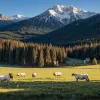 Curtea Supremă din Austria a achitat vaca după atacul asupra turiștilor: Responsabilitatea cade acum pe călători