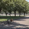 Jaf în Hildesheim, Germania: Un biciclist a smuls geanta unei femei de 74 de ani