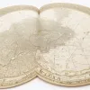 A cheltuit 20.000 de euro și a parcurs 20.000 km căutându-și pisica dispărută de 10 luni în Germania