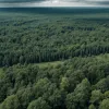 Paradisul Fiscal Bismarck din Germania, în pericol: Sachsenwald ar putea fi anexat forțat unui municipiu