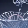 Germania: Două landuri propun testarea ADN-ului infractorilor pentru a le determina originea