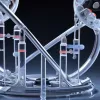 Germania dezbate folosirea testelor ADN pentru a stabili originea suspecților