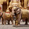 Elefant scăpat de sub control a atacat mulțimea la un festival religios din India: Zeci de răniți