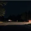 Accident grav în Germania: Şoferul a evitat un animal, a intrat în copaci, trei copii sunt grav răniţi