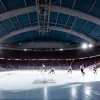 Hochei DEL: Transferuri de senzație la nou-promovata Dresdner Eislöwen - Vin Hudacek și Forman?