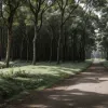 Tragedie în Germania: un bărbat de 79 de ani a murit într-un accident cu bicicleta electrică