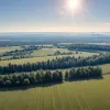 Val de căldură extremă în Germania: Se așteaptă temperaturi de până la +40°C săptămâna viitoare