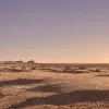 Val de căldură extremă în Germania: Se așteaptă temperaturi de până la 40°C și nopți tropicale