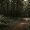 Fritz Meinecke, fondatorul "7 vs. Wild", anunță retragerea din show