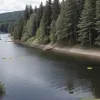 Germania: Un bărbat reținut la Freiburg sub acuzația de hărțuire a înotătorilor pe lac