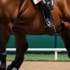 Isabell Werth, legendă a dresajului, câștigă al 18-lea titlu de Campioană a Germaniei