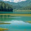 Fenomen "suprarealist" în China: Sute de pești sar în masă din Lacul Dianchi, parcă ar fi "scuipați" afară