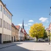 Adolescent de 13 ani dispărut în Germania: Poliția îl caută pe Davin Denis