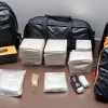 Poliția din Frankfurt a arestat un presupus traficant de droguri cu un rucsac plin de marijuana și cocaină