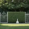 Cât de înalt poate fi gardul viu al vecinului? Un avocat explică regulile și soluționarea disputelor