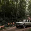 Câine salvat într-o operațiune dramatică în Germania, după ce a fost împuns de o creangă lungă în pădure