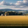 De la maestru măcelar la ministru: Cine este Alois Rainer, noul şef al Agriculturii din Germania