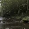 Cadavru descoperit într-un pârâu din Germania: Un tânăr de 23 de ani, posibil victimă a unei urmăriri brutale