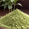 Deficit global de Matcha: ceaiul popular se scumpește și devine greu de găsit