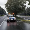 Accident grav în Germania: Șofer de 53 de ani, rănit după ce a lovit un copac