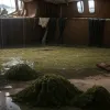 Yachtul miliardarului Mike Lynch după tragedie: Primele imagini din interiorul epavei "Bayesian"