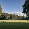 Miliardar a murit după ce ar fi înghițit o albină în timpul unui meci de polo: Tragedie lângă Londra