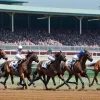 Săptămâna Derby-ului la Hamburg: Startul sezonului de curse de cai cu Cupa Sparkasse Holstein