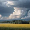 Superstiția Siebenschläfer: Cum va fi vremea vara?