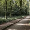 Dublu omor în Germania: Mamă și fiică ucrainene, ucise brutal în Dorsten. Un minor s-a predat