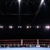 Evenimentul Anului în Box: Vedete din Germania urcă în ring
