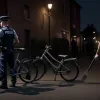 Hoț prins de poliție în Nienburg cu o unealtă de grădină furată