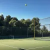 Alexander Zverev, în semifinale la turneul de tenis: Vizează al 25-lea titlu al carierei