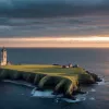 Semnal de alarmă în Marea Nordului: O specie rară de chiră nu mai cuibărește pe o insulă din Germania, pentru prima dată în peste 100 de ani