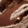 Descoperire Majoră în Transilvania: Proteine Găsite în Fosila unui Dinozaur cu Tumoare Ar Putea Ajuta în Lupta Cu Cancerul