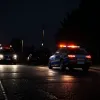 Alertă în Germania: O pistolă de jucărie a declanșat o intervenție a poliției