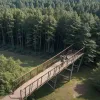 Tatăl în parcul de aventură: Lecția neașteptată de la copiii săi