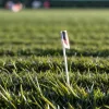 Ex-antrenor de la Hansa Rostock preia o echipă din Regionalliga germană